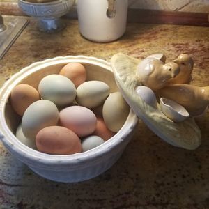 Meet your Posher, Susan